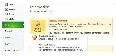 Security Warning area for ActiveX controls