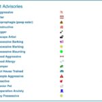 Dog Day Care Scheduling Software Interface