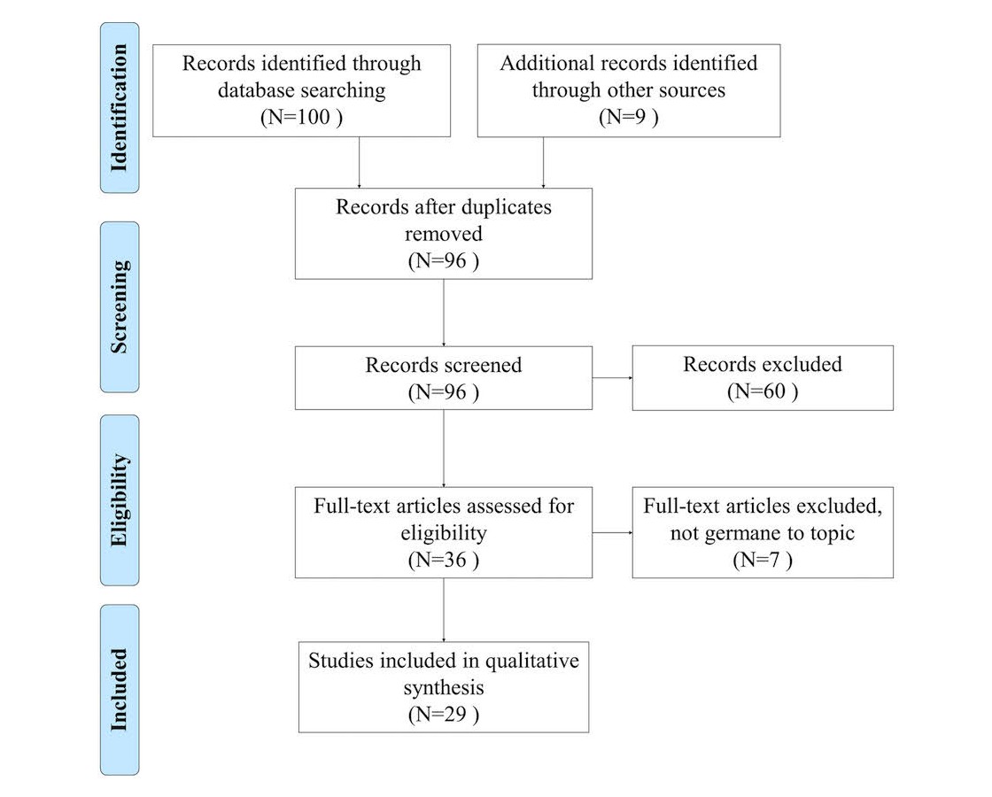 Technician Using Diagnostic Software