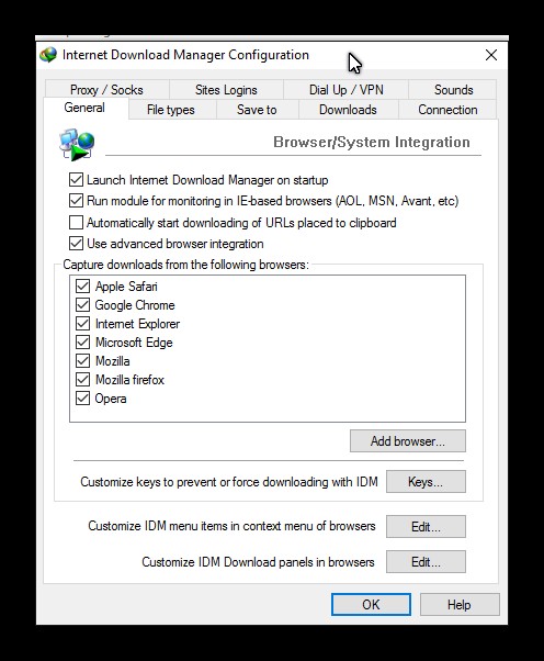 Internet Download Manager configuration showing customize keys