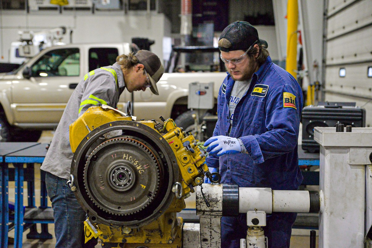 Automotive Technician Using Diagnostic Software