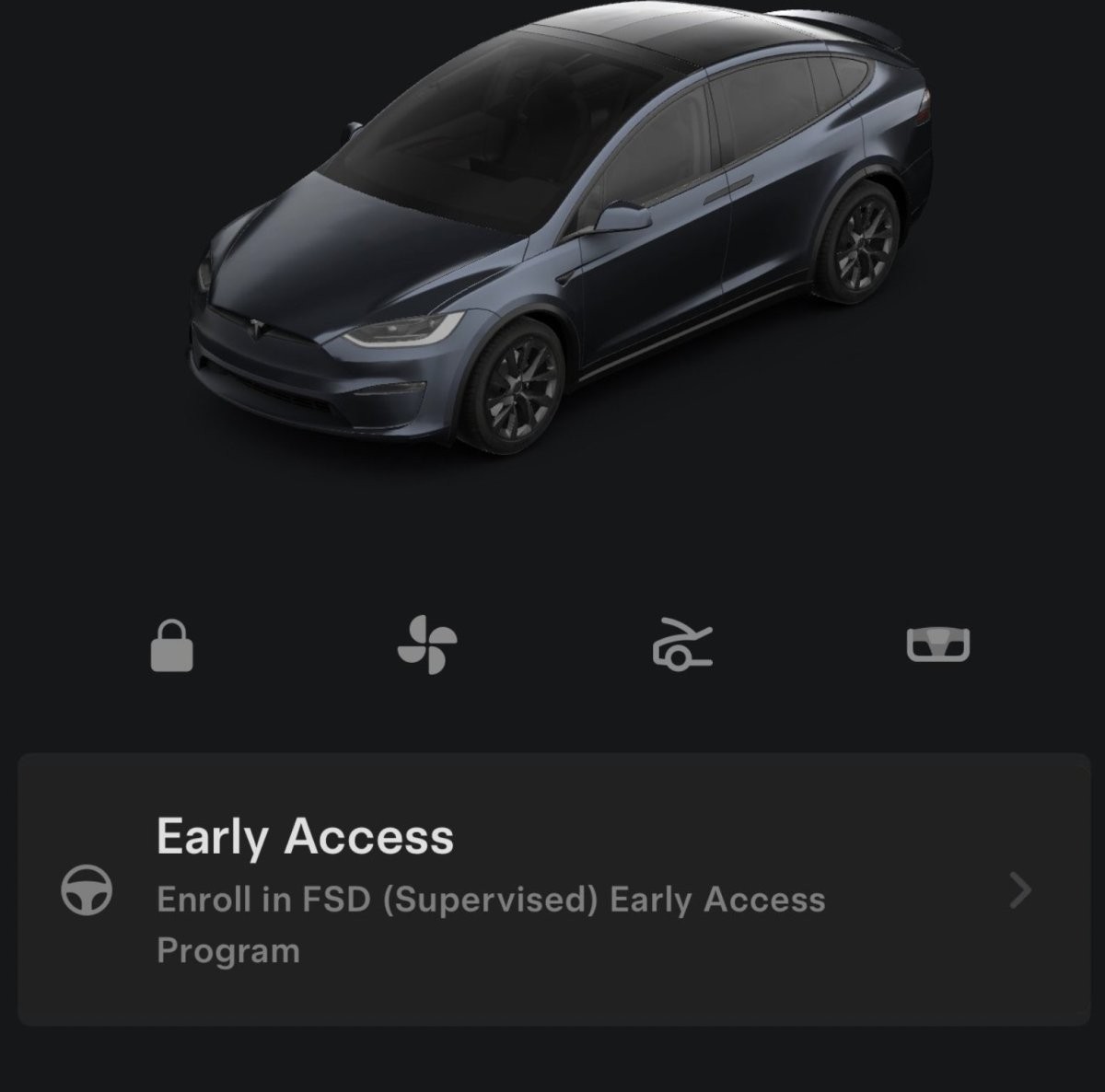 Early Access button on the Tesla app after initial popup