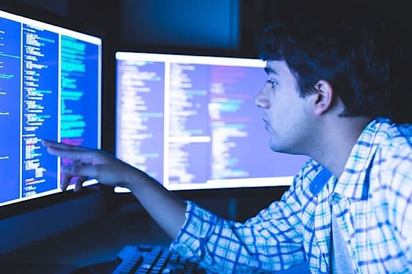 Software Developer vs Information Security Analyst: Job Outlook and Salary Expectations