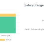 Senior Software Engineer responsibilities