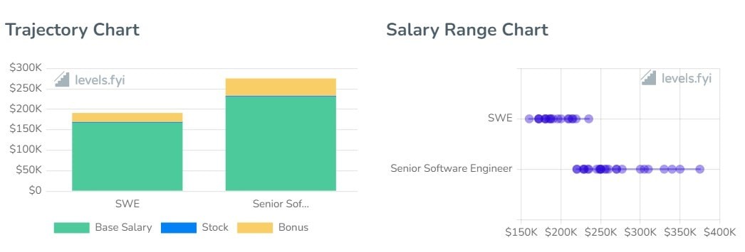 Senior Software Engineer responsibilities