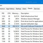 Windows Software Protection Platform Service