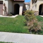 Jenny S. Lawn Care Review