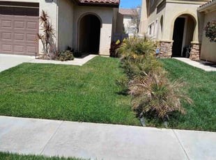 Jenny S. Lawn Care Review