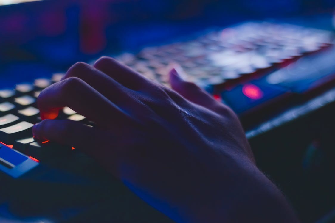 Software Career Counseling for Success