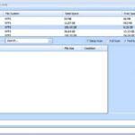 Puran File Recovery Interface