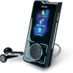 Car audio system diagnostic interface showcasing TSS software capabilities