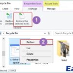 Open Recycle Bin to find deleted files