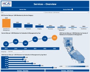 Data dashboard featuring car performance metrics.