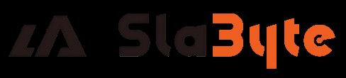 SlaByte标志png-2(1).png