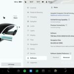 Tesla software update menu showing how to check for updates