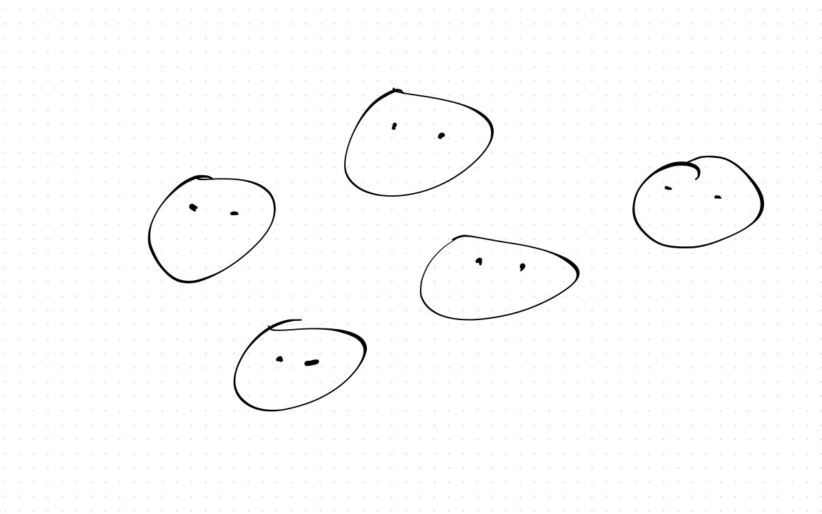 Importance of shared understanding in software projects