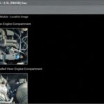 Car Diagnosis Software Supporting Multiple Brands