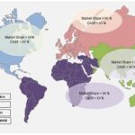 Veterinary Software Market Growth